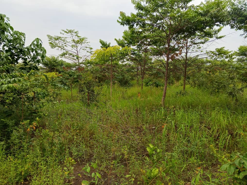 Ecological impact