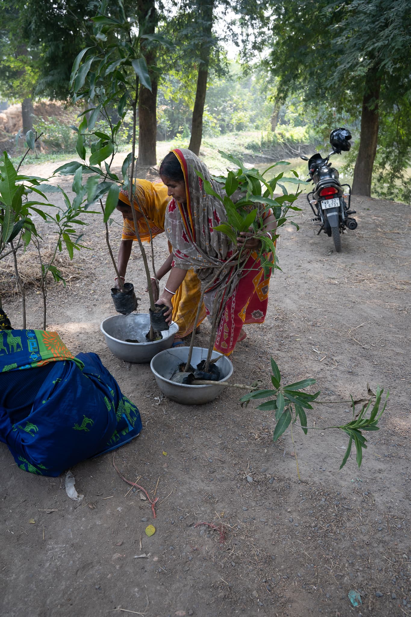 Socio-economic impact