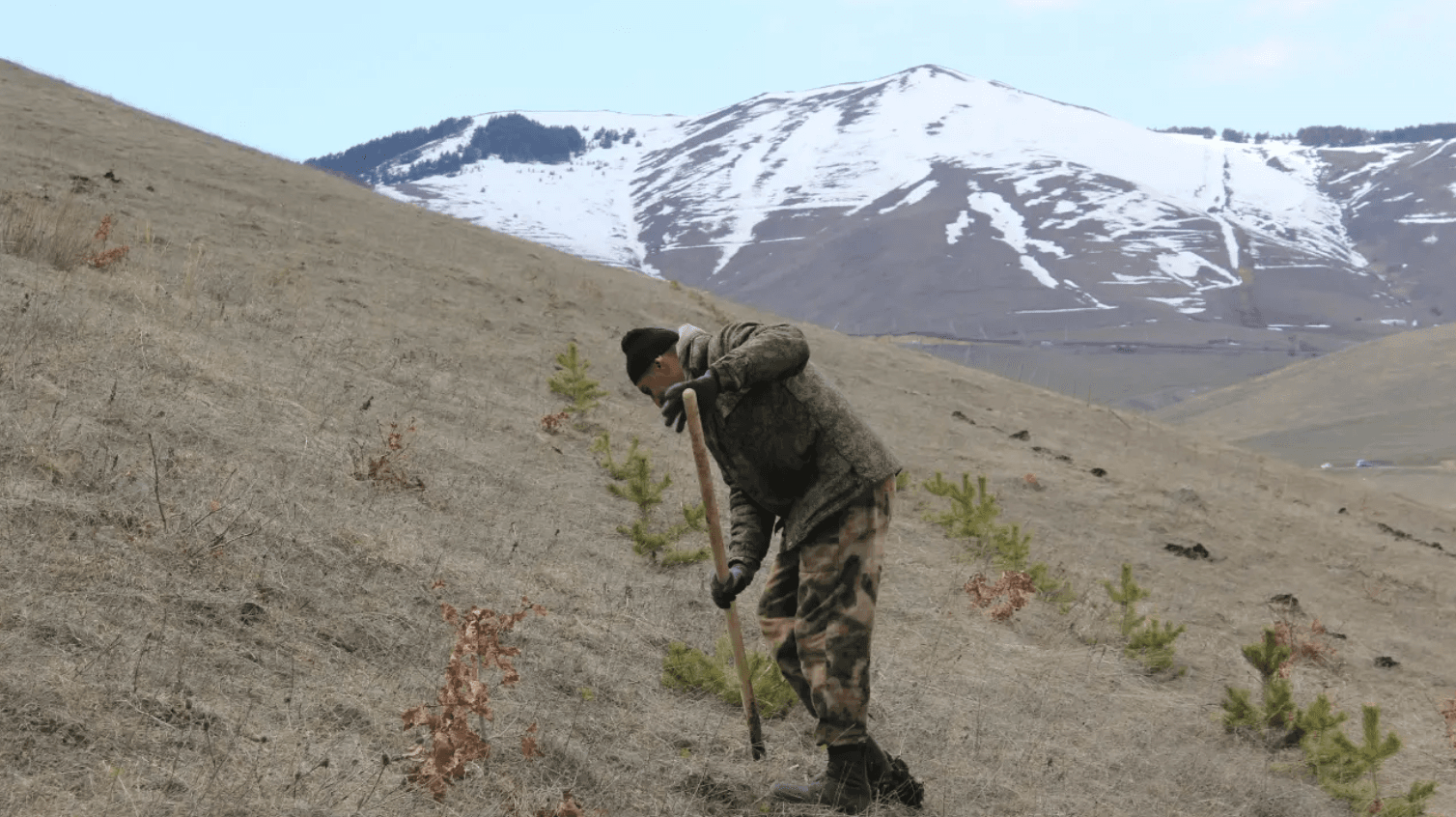 Ecological impact