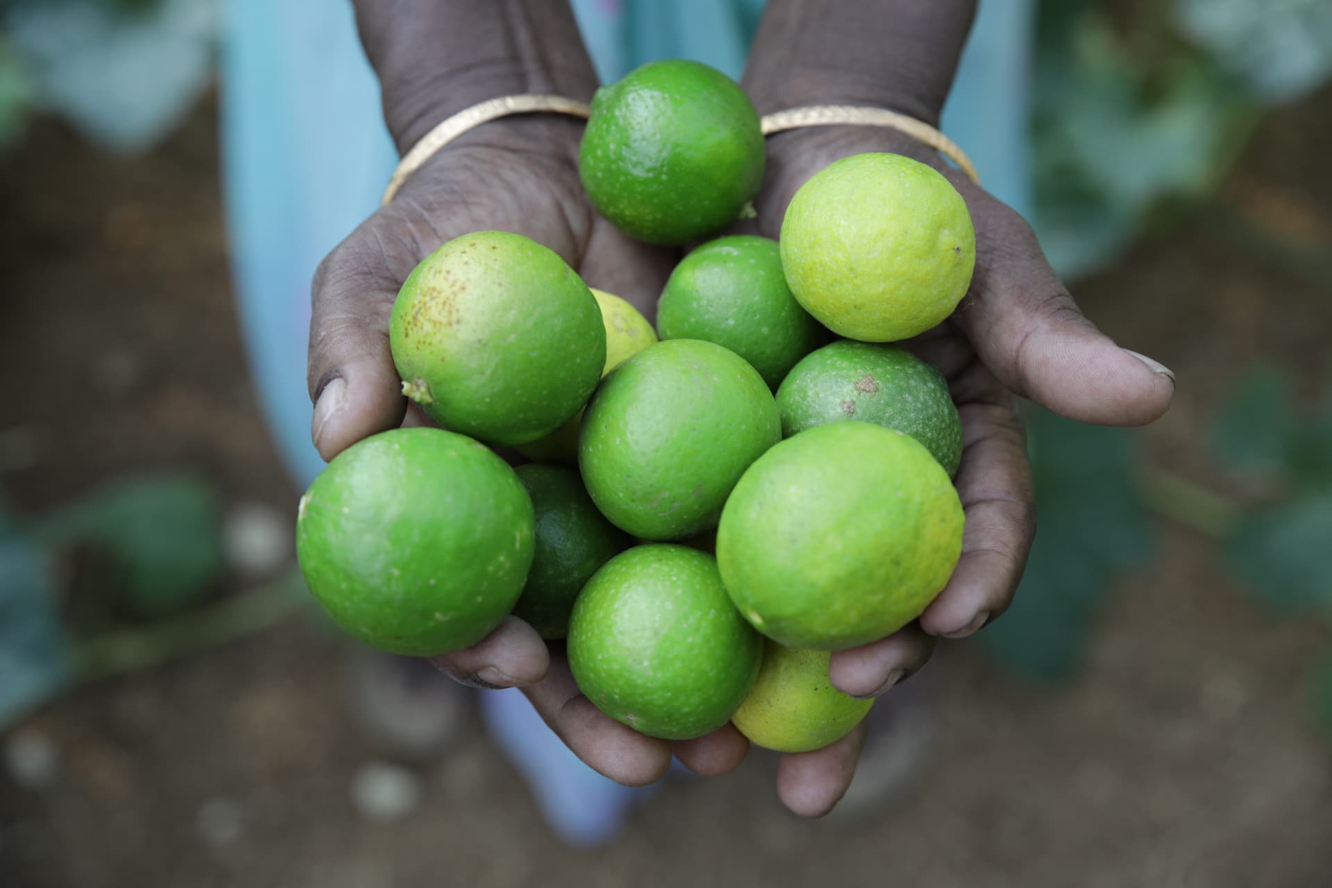 Socio-economic impact