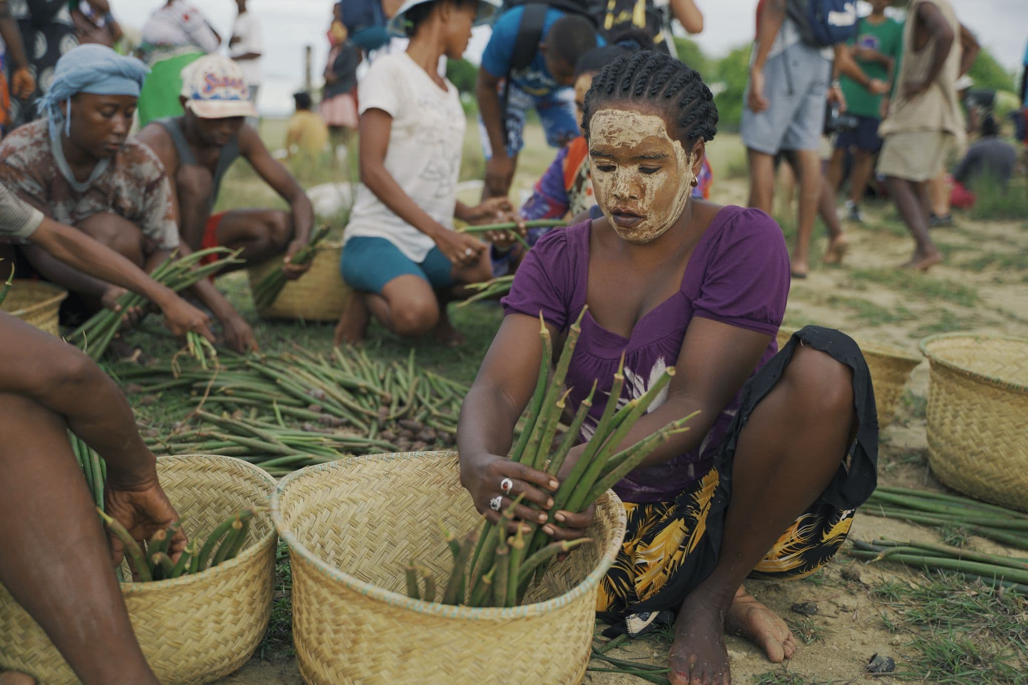 Socio-economic impact