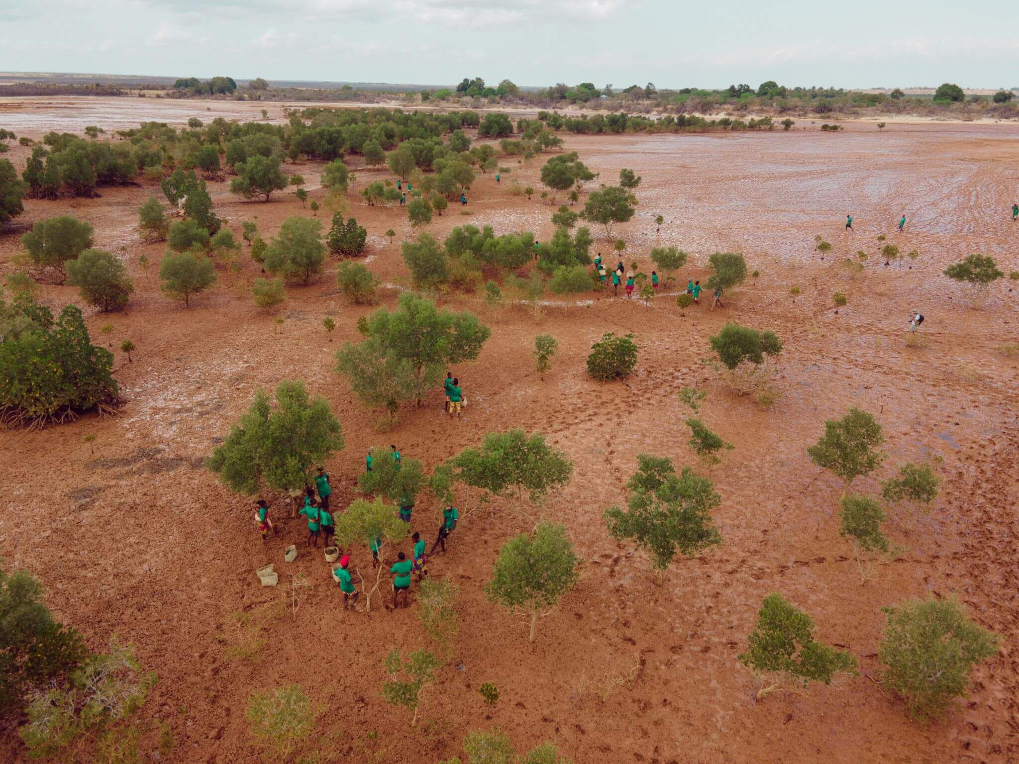 Ecological impact