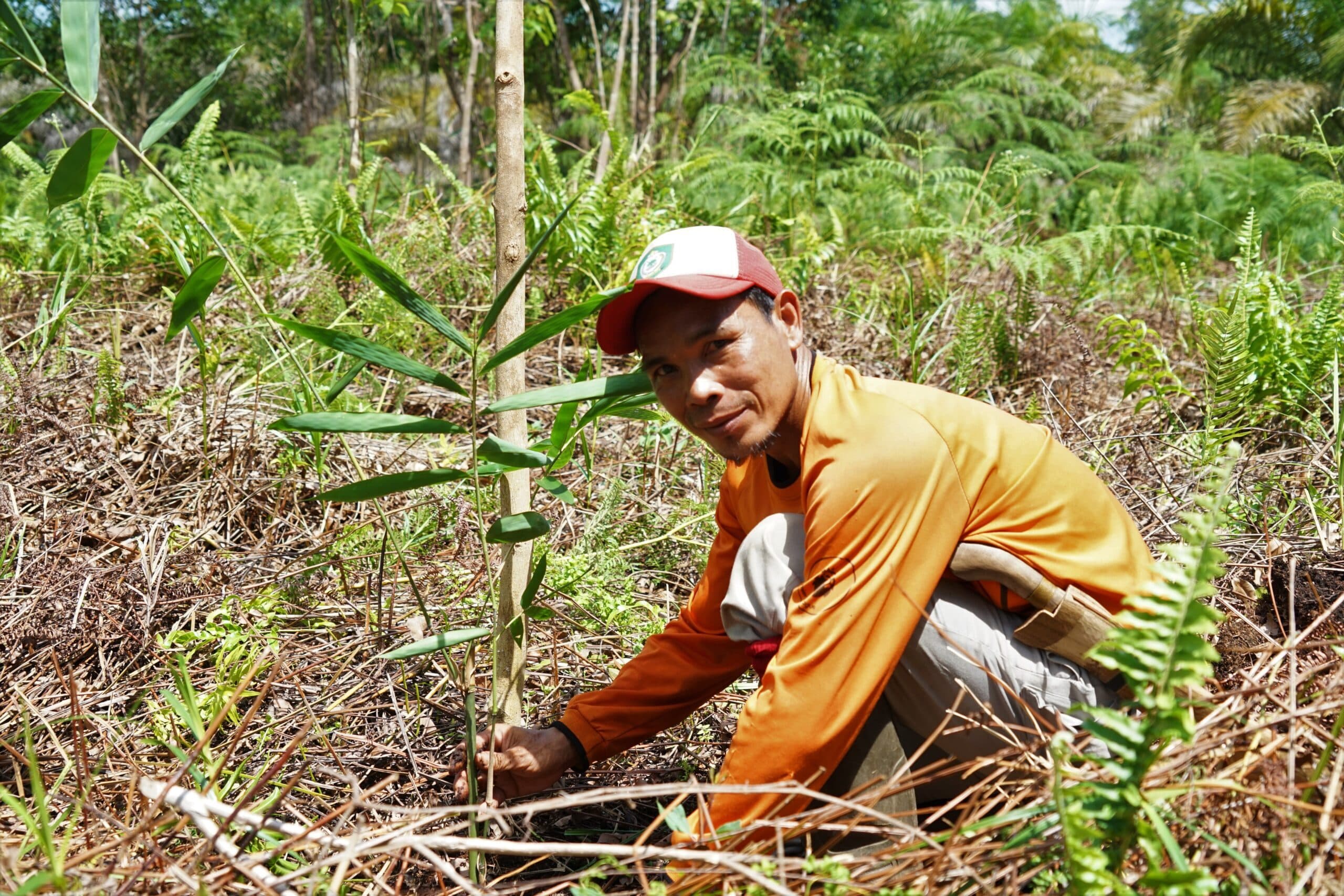 Socio-economic impact 
