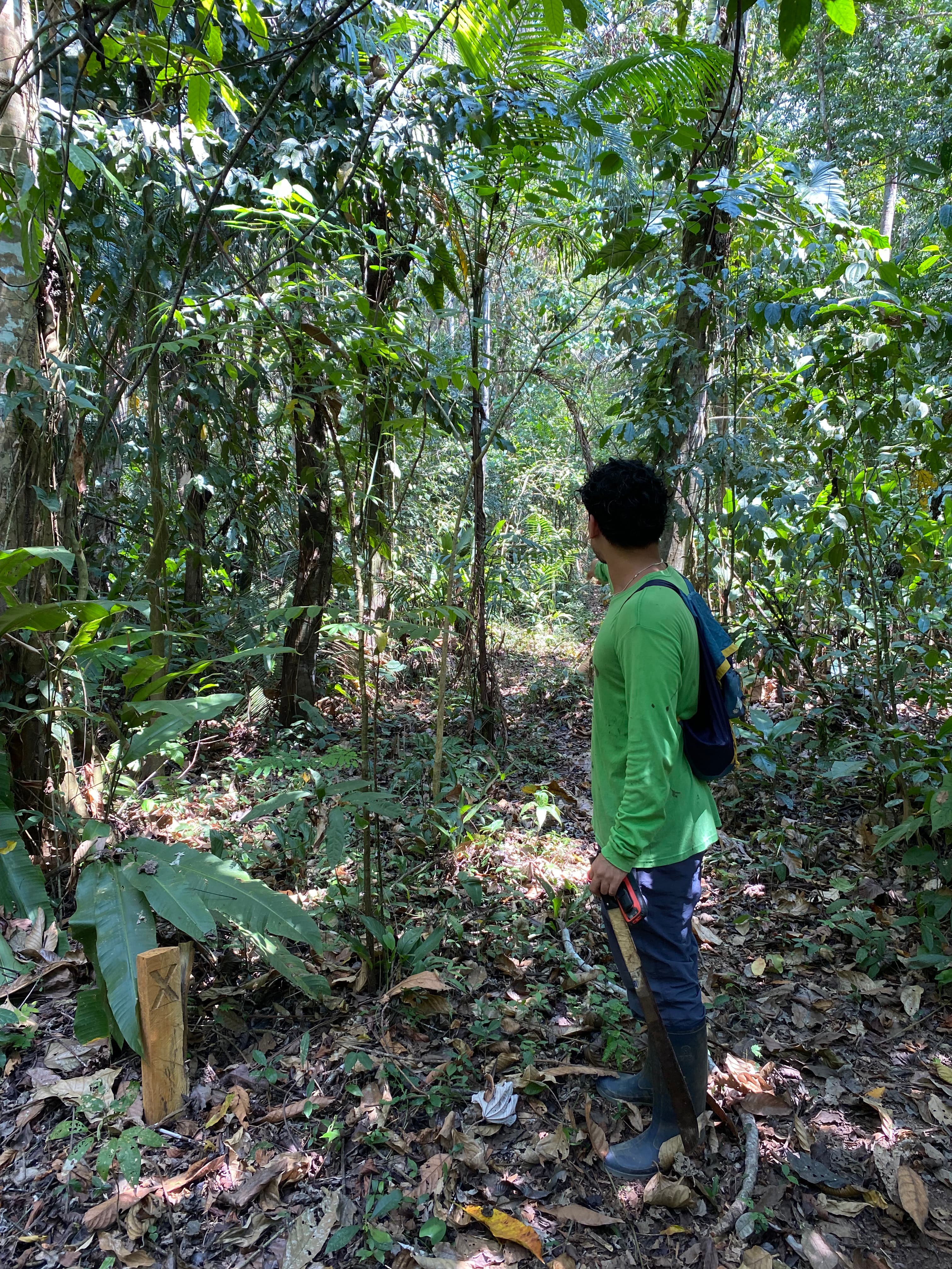 Ecological impact