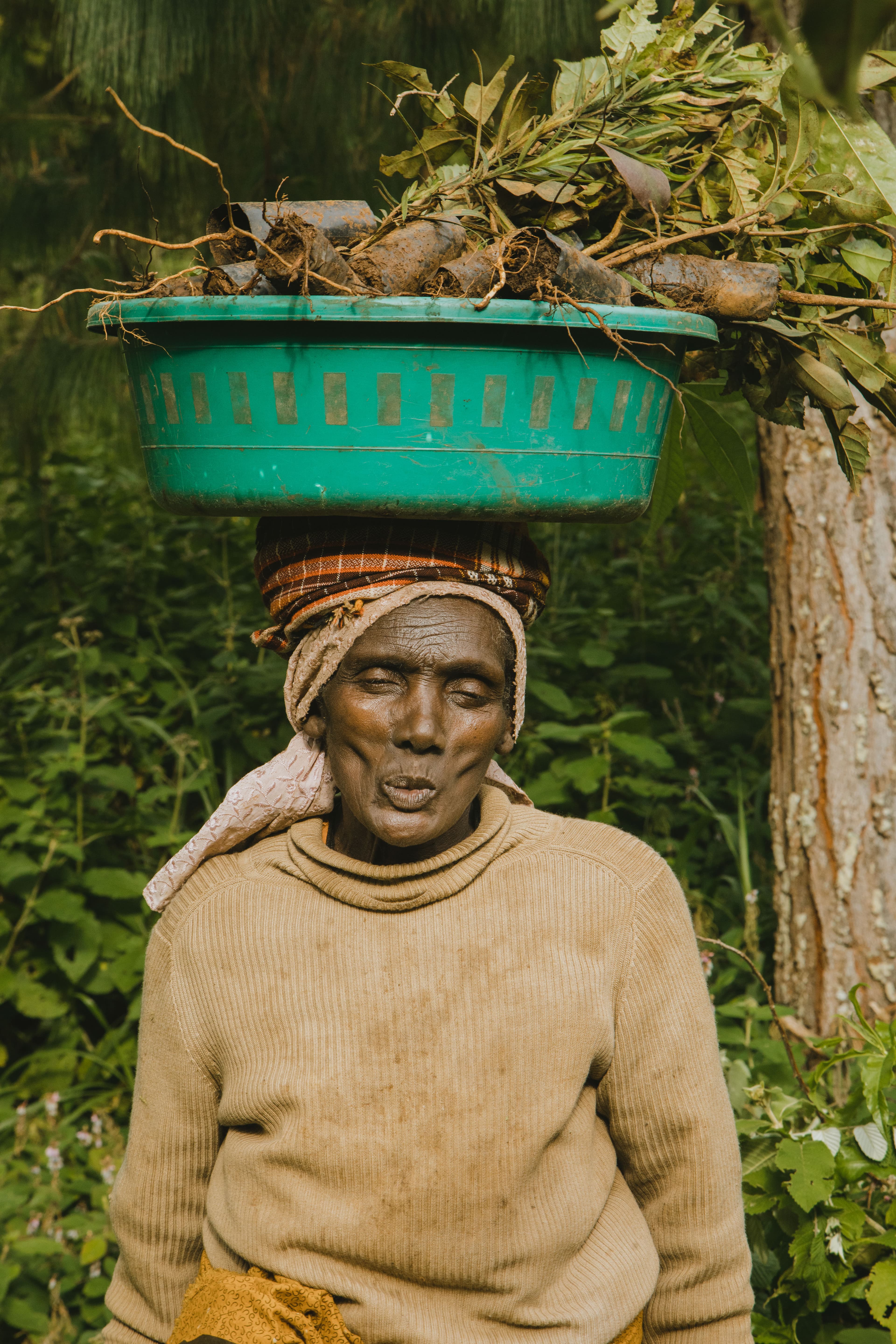 Socio-economic impact
