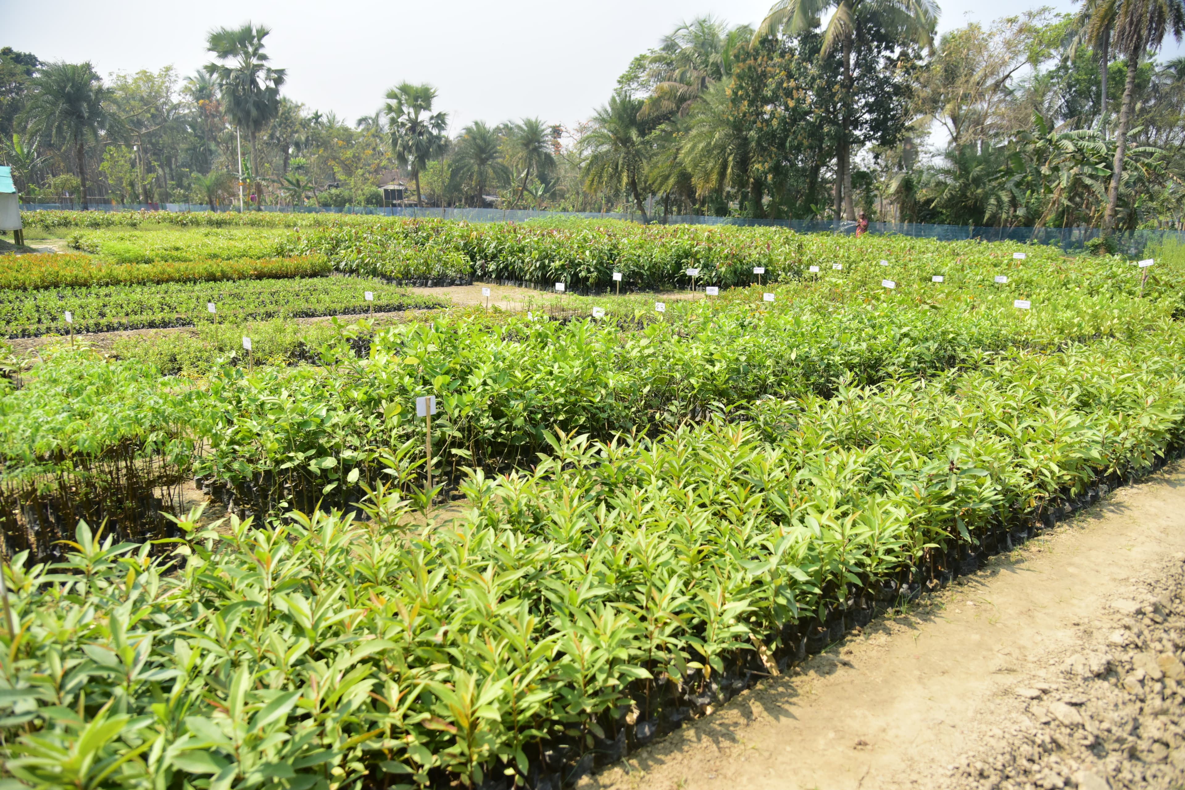 Ecological impact