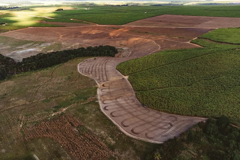 Ecological impact